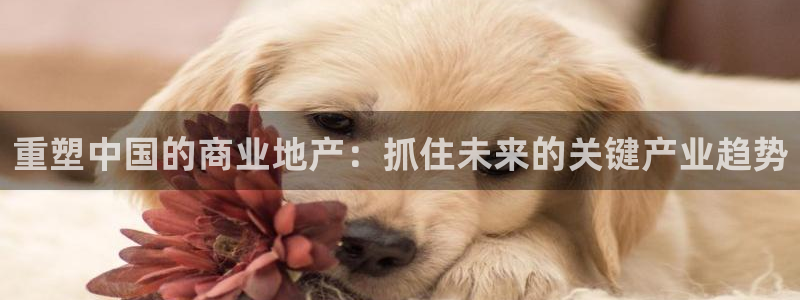 风暴大厅娱乐：重塑中国的商业地产：抓住未来的关键产业趋势
