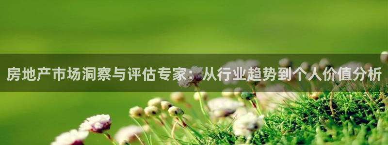 风暴娱乐派对：房地产市场洞察与评估专家：从行业趋势到个人价值