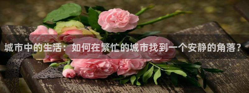 风暴娱乐求333OOf：城市中的生活：如何在繁忙的城市找到一
