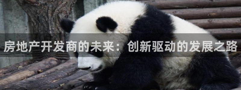 娱乐风暴开头：房地产开发商的未来：创新驱动的发展之路