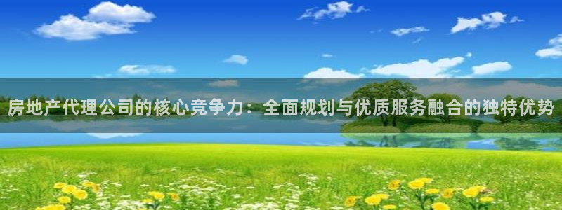 风暴娱乐棋牌：房地产代理公司的核心竞争力：全面规划与优质服务