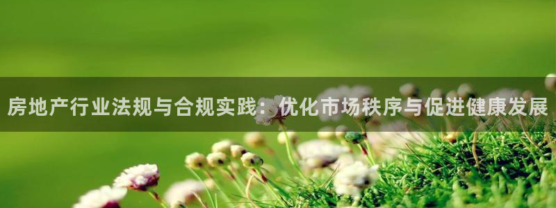 风暴娱乐客服：房地产行业法规与合规实践：优化市场秩序与促进健