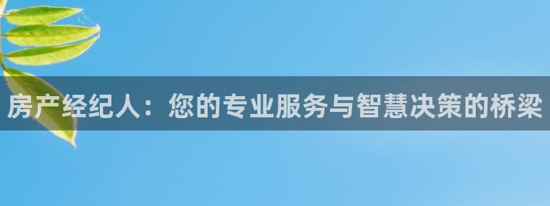 娱乐风暴合集：房产经纪人：您的专业服务与智慧决策的桥梁