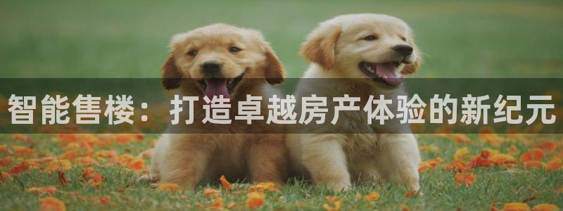 娱乐星空风暴：智能售楼：打造卓越房产体验的新纪元