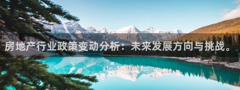 风暴娱乐注册网址：房地产行业政策变动分析：未来发展方向与挑战