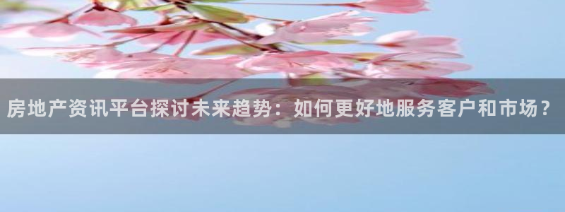 风暴娱乐字图片大全：房地产资讯平台探讨未来趋势：如何更好地服