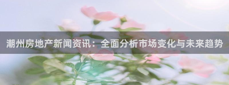 风暴娱乐汇：潮州房地产新闻资讯：全面分析市场变化与未来趋势