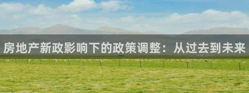 风暴娱乐自动挂：房地产新政影响下的政策调整：从过去到未来