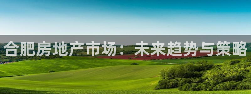 4120051风暴娱乐：合肥房地产市场：未来趋势与策略