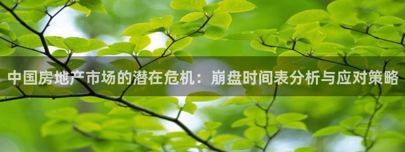 风暴娱乐：中国房地产市场的潜在危机：崩盘时间表分析与应对策略