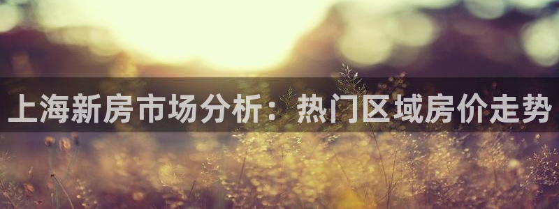 风暴娱乐40996：上海新房市场分析：热门区域房价走势