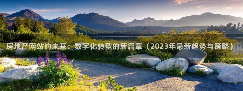 风暴娱乐1：房地产网站的未来：数字化转型的新篇章（2023年