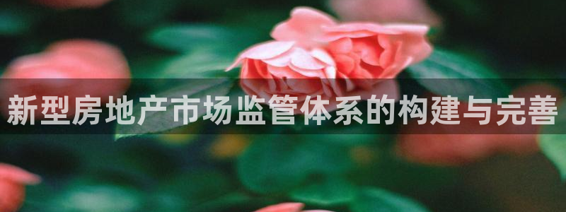 风暴娱乐主管是谁：新型房地产市场监管体系的构建与完善