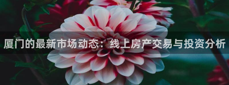 风暴娱乐主页