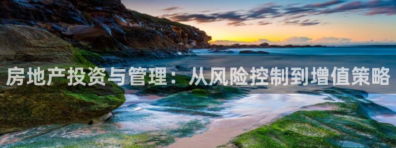 风暴娱乐套路：房地产投资与管理：从风险控制到增值策略