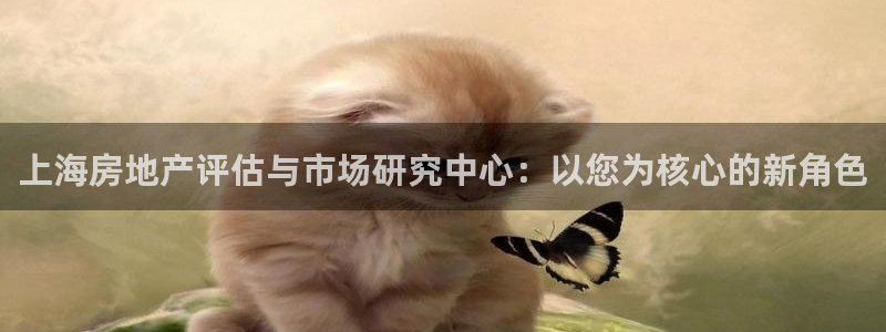 风暴娱乐园：上海房地产评估与市场研究中心：以您为核心的新角色