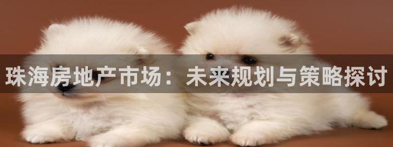 风暴娱乐号