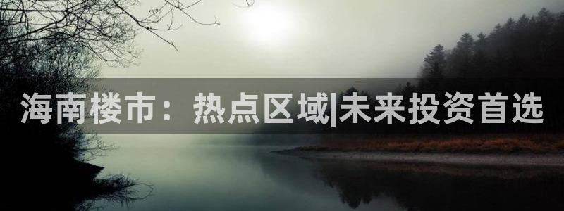 娱乐风暴系统：海南楼市：热点区域|未来投资首选