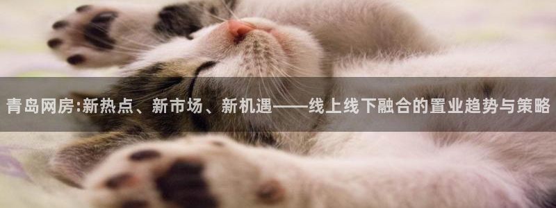 风暴数字娱乐：青岛网房:新热点、新市场、新机遇——线上线下融
