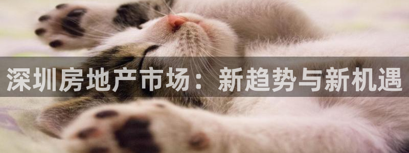 风暴娱乐登录网址：深圳房地产市场：新趋势与新机遇